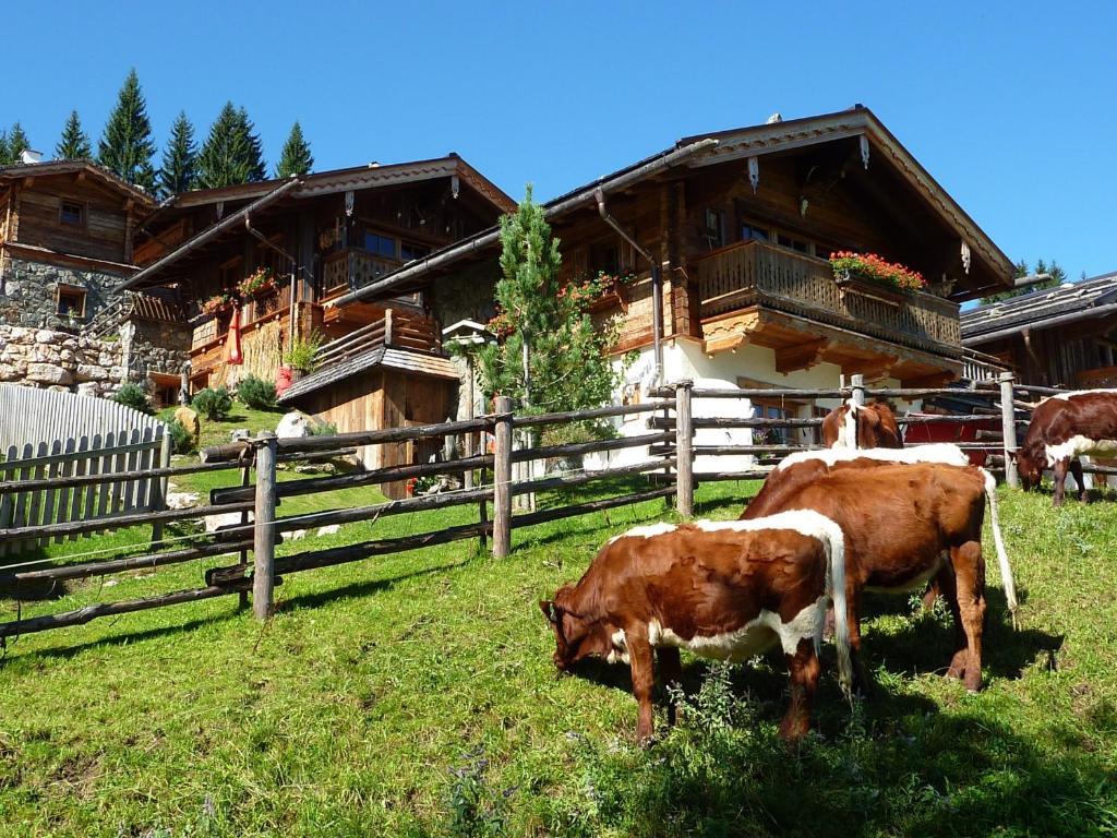 Almdorf Flachau - Luxus Huettenurlaub Стая снимка